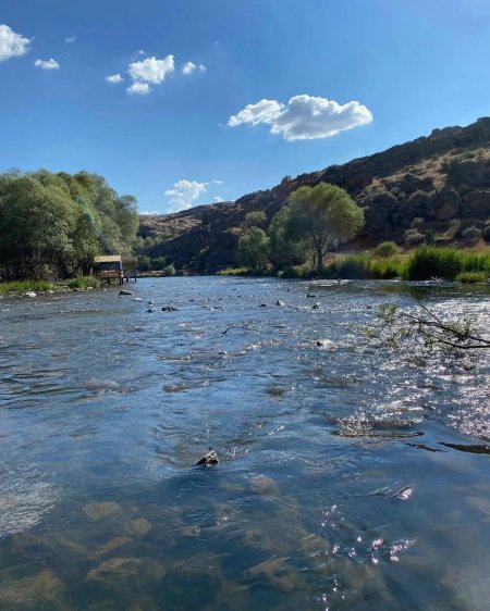Salim Eroğlu'nun Yazdığı Şiirler 